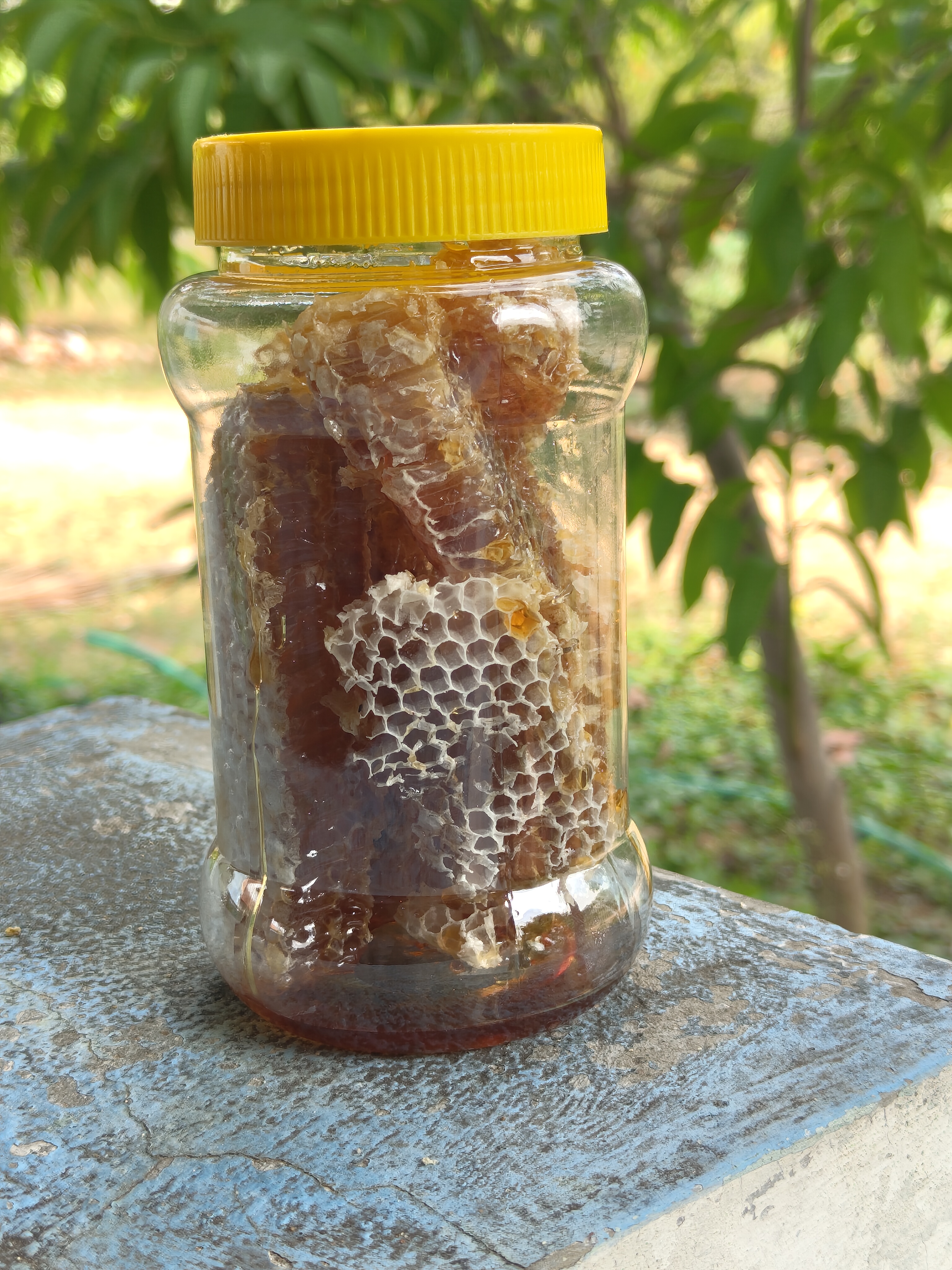 Honeycomb