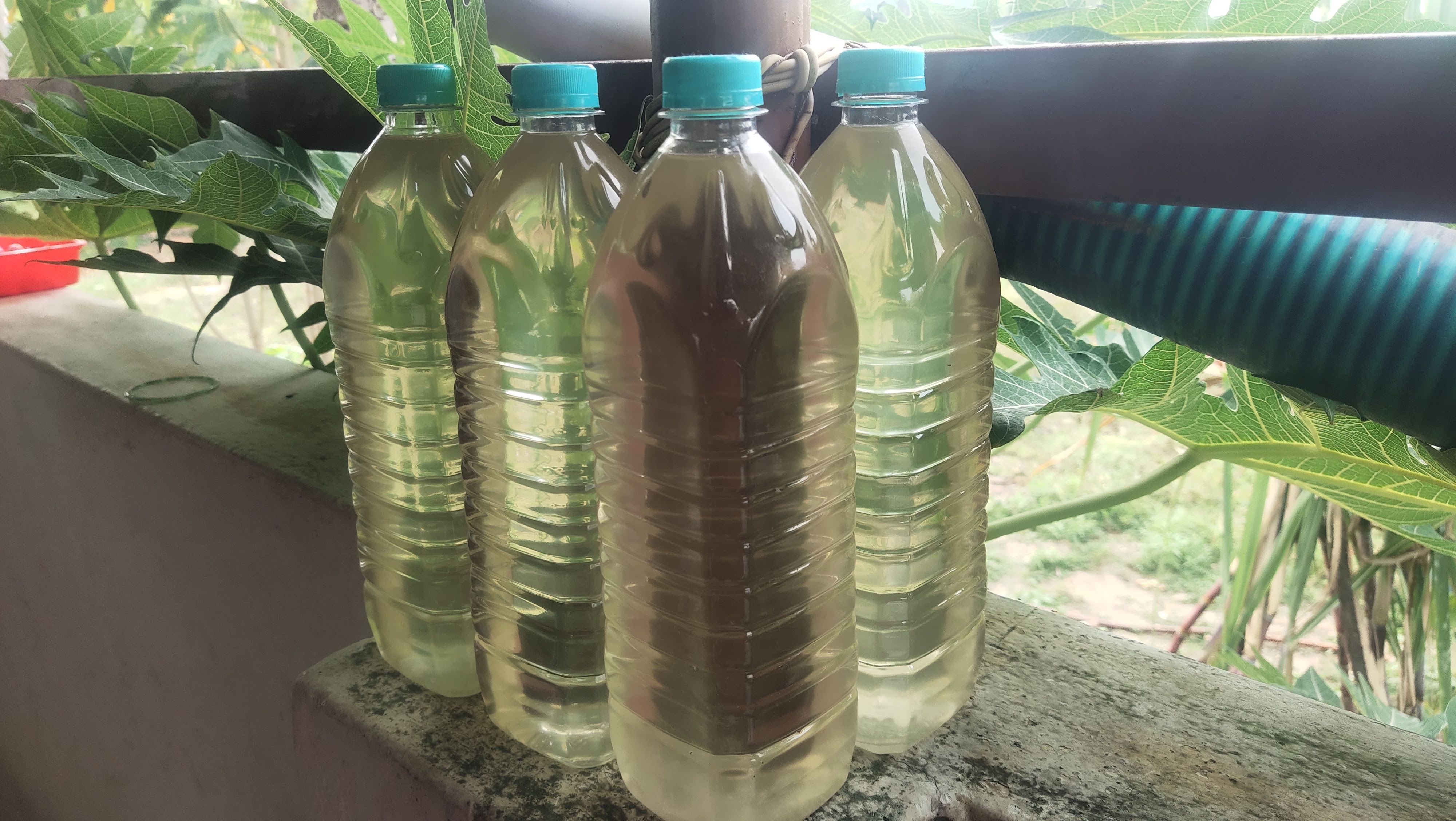 Pure Coconut oil