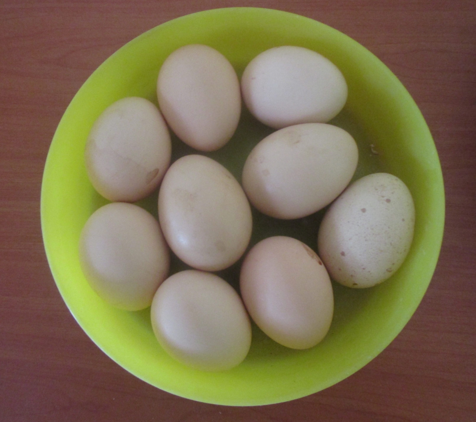 Fresh Farm Eggs