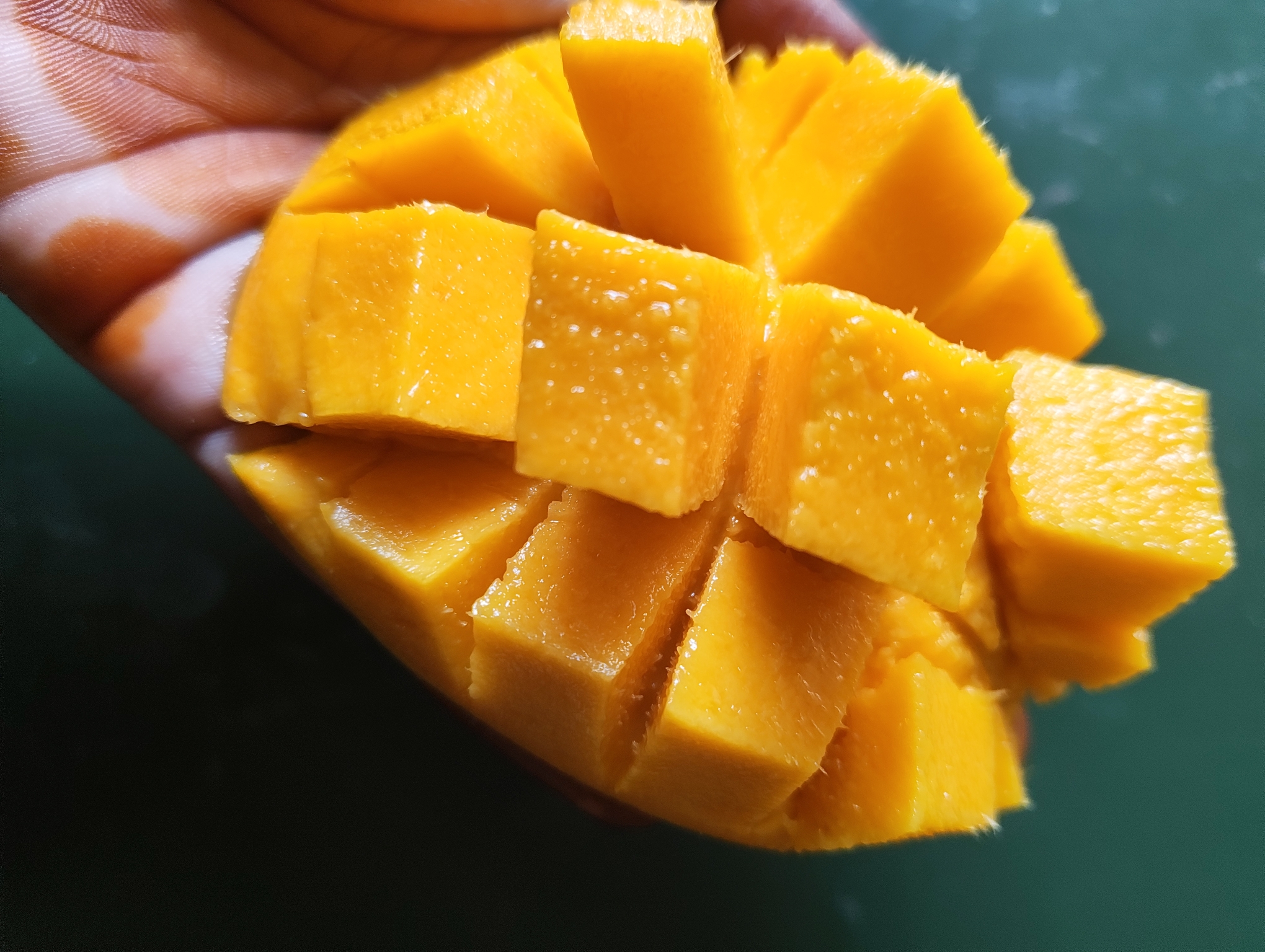Organic Red Mango (Sendhura) - செந்தூரா